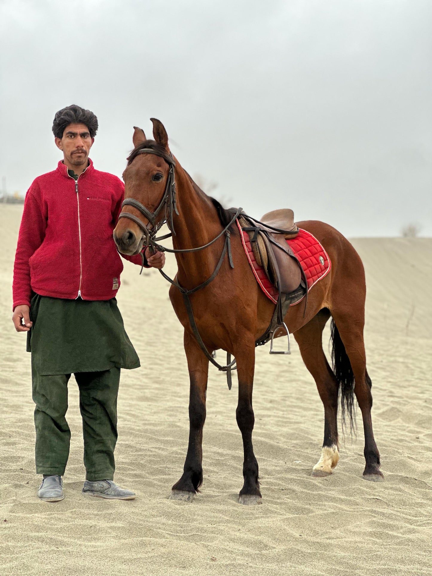 Horse Riding