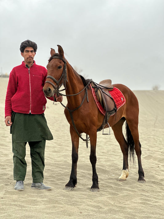 Horse Riding